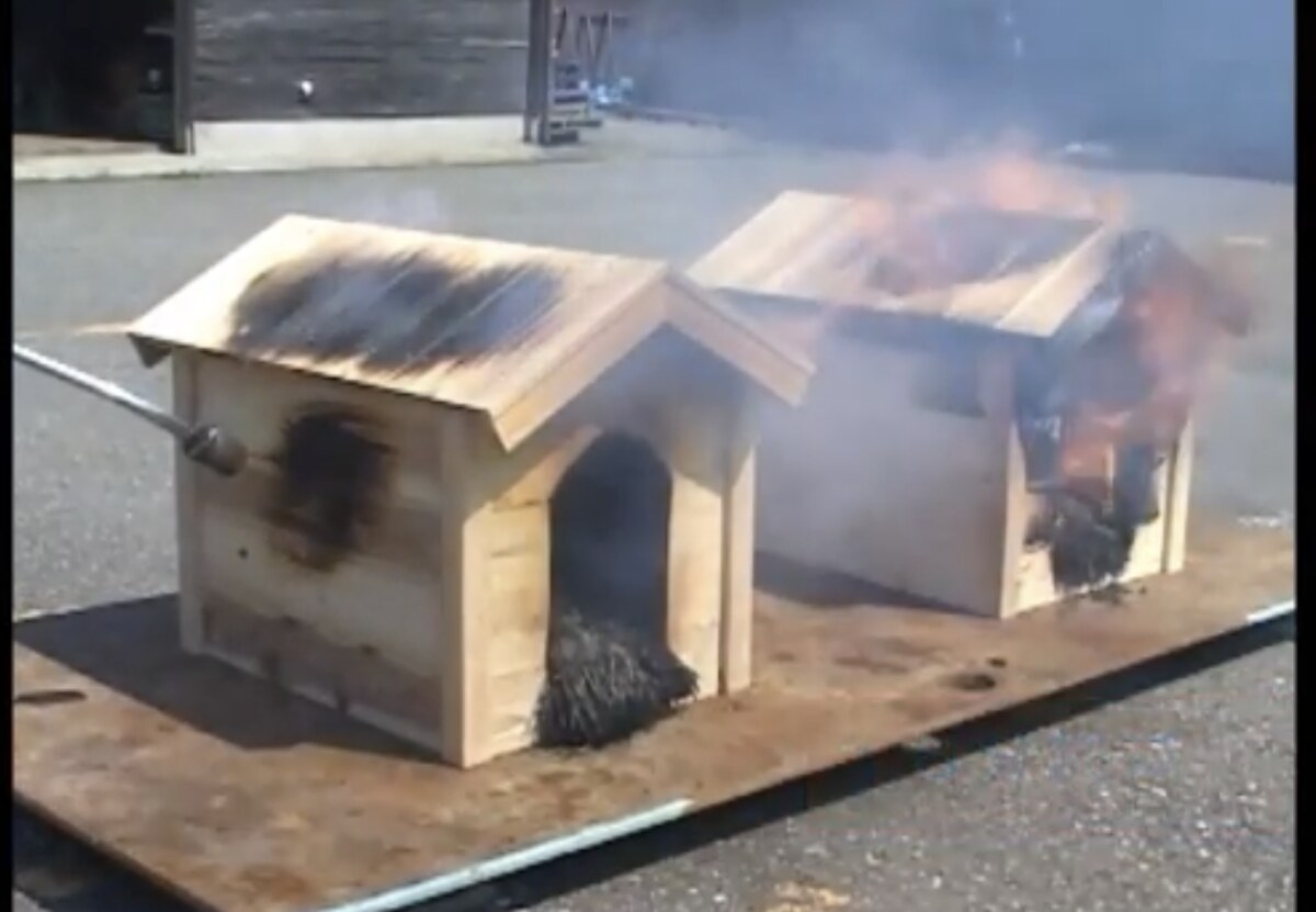 着火後、未処理側の小屋が燃え上がっている様子